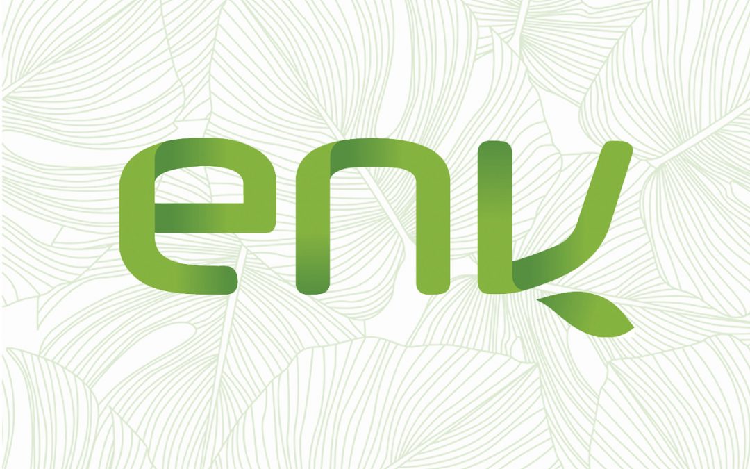 ENV Australia