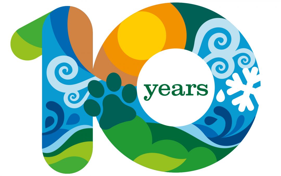 10 years The Climate Reality Project Indonesia
